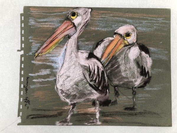 Pelicans Side 2